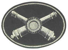 Cap Ornaments for Officers