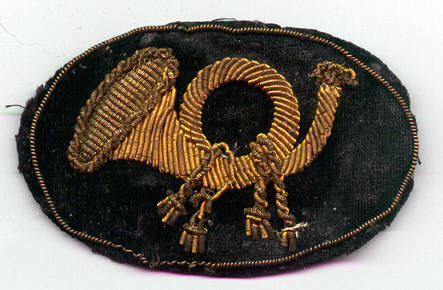 Infantry Officer's Hat Insignia